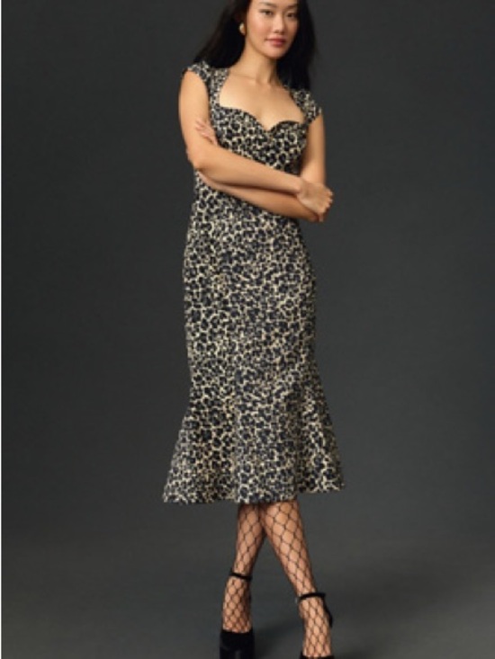 Anthropologie Dresses & Skirts - Maeve The Cecily Fit & Flare Sweetheart Dress Anthropologie Leopard
